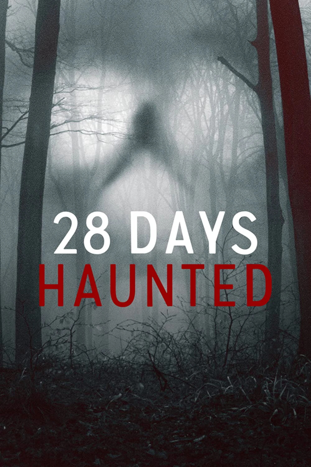 28 ngày ma ám | 28 Days Haunted (2022)