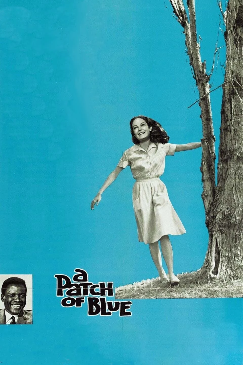 A Patch of Blue | A Patch of Blue (1965)