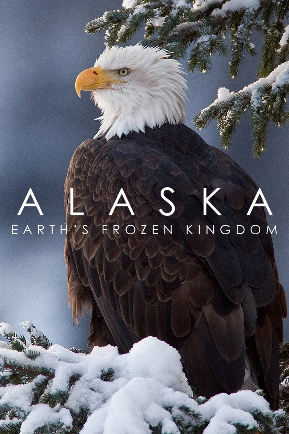 Alaska: Vương Quốc Băng Giá | Alaska: Earth's Frozen Kingdom (2015)