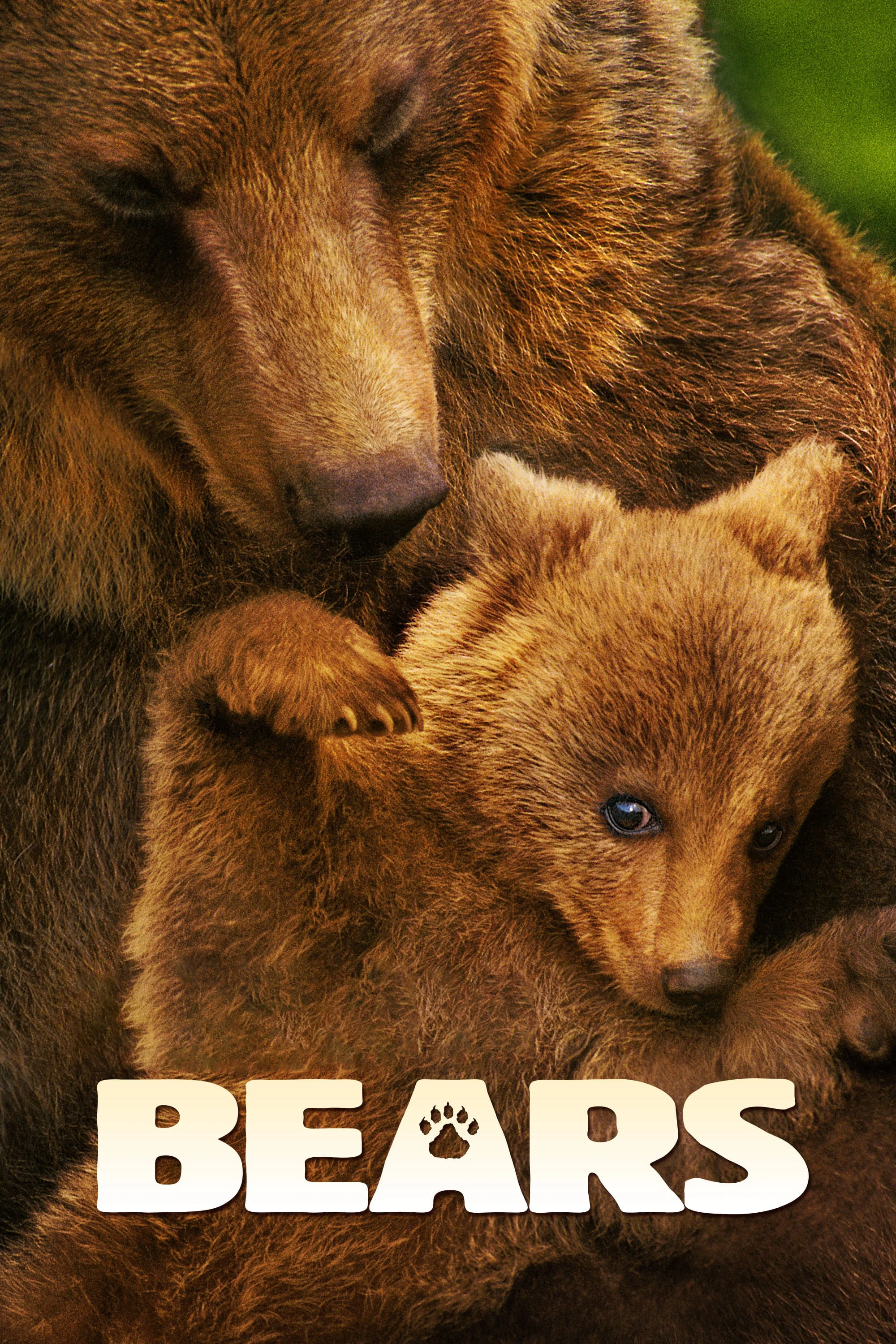 Bears | Bears (2014)