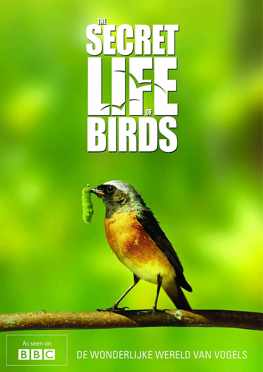 Bí ẩn cuộc sống loài chim | The Secret Life of Birds  (2012)