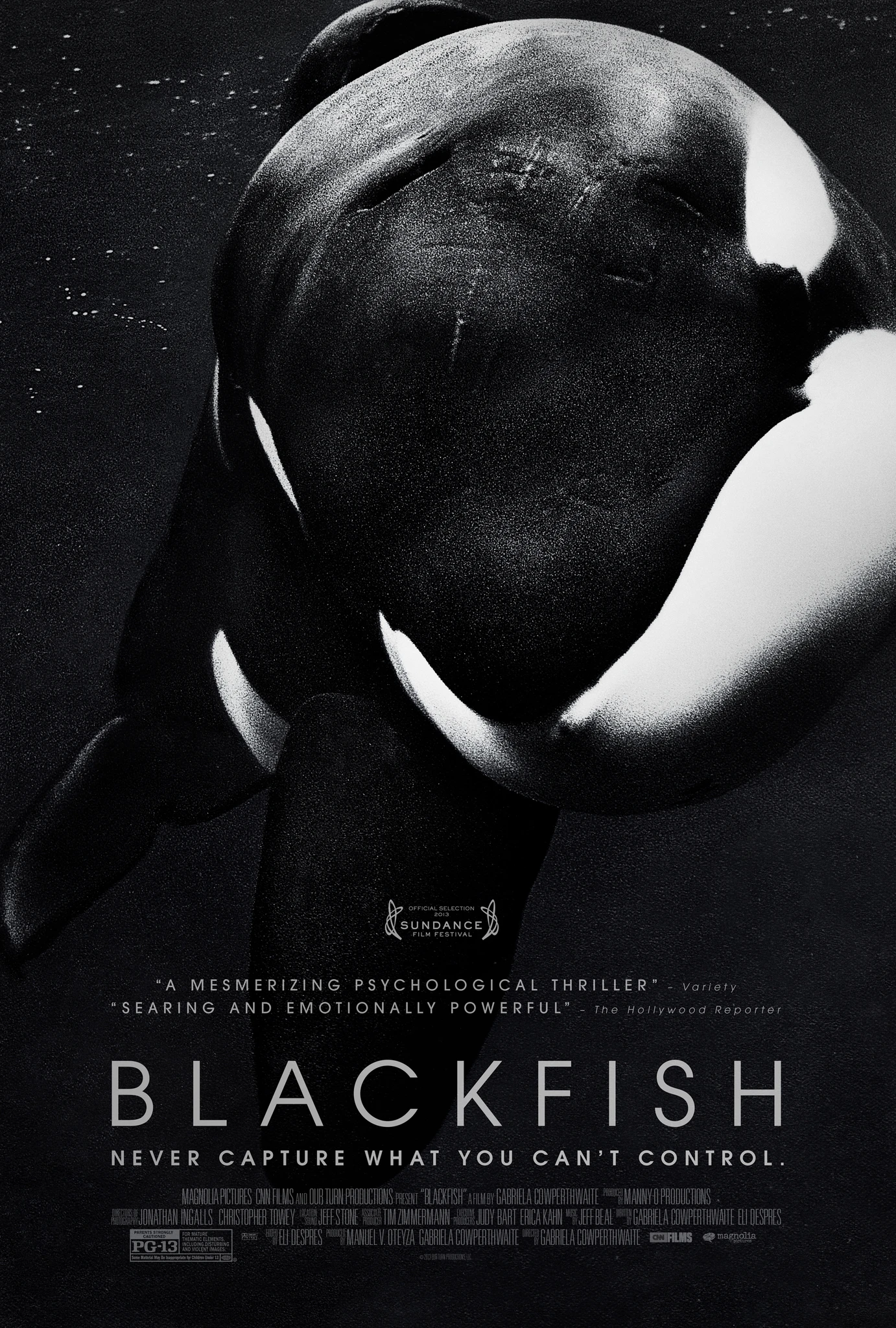 Cá đen | Blackfish (2013)