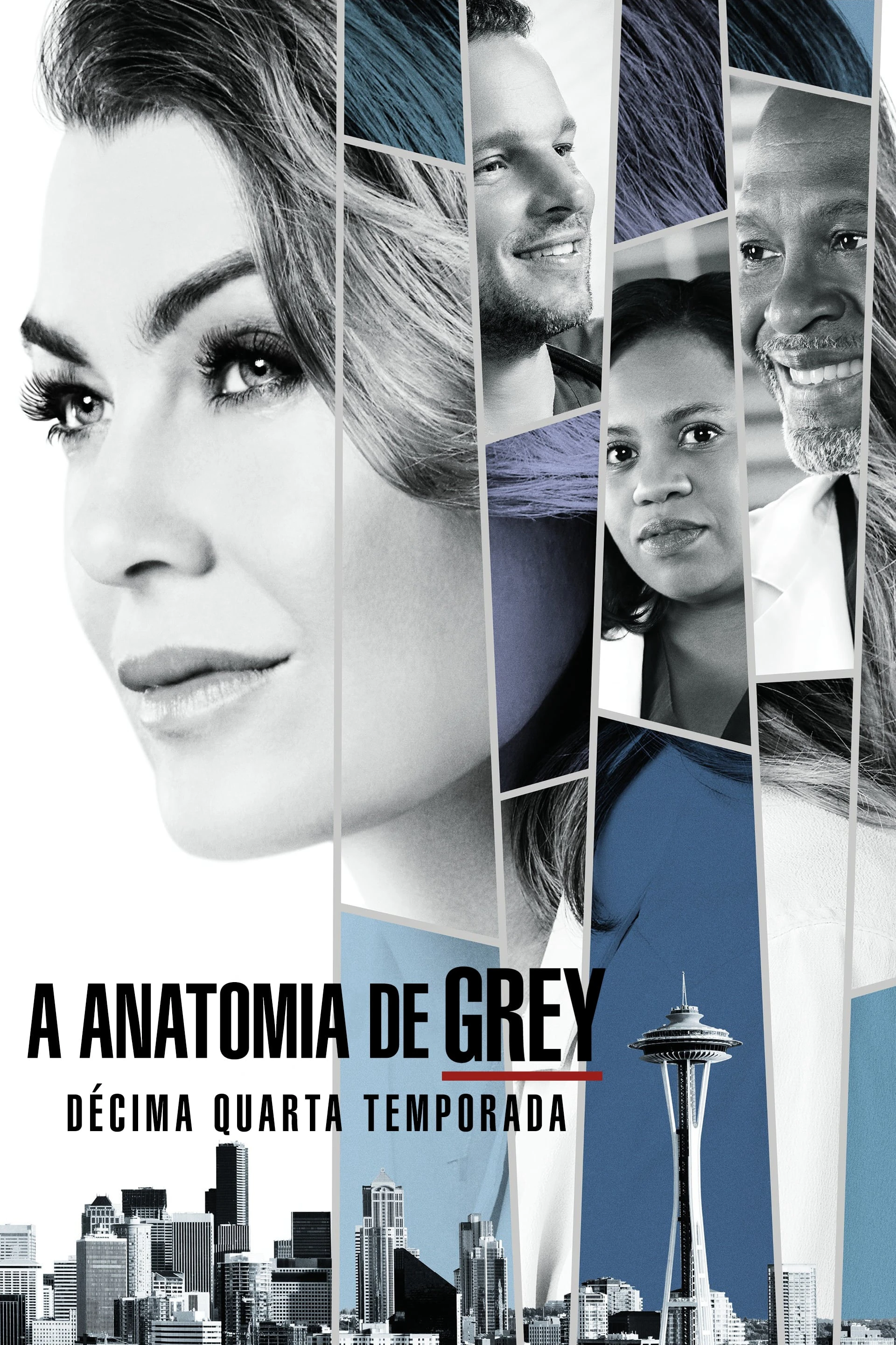 Ca Phẫu Thuật Của Grey (Phần 14) | Grey's Anatomy (Season 14) (2017)
