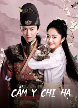 Cẩm Y Chi Hạ | Under the Power (2019)