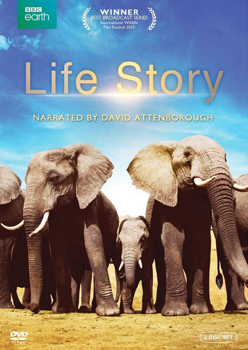 Câu Chuyện Cuộc Sống | Life Story (2014)