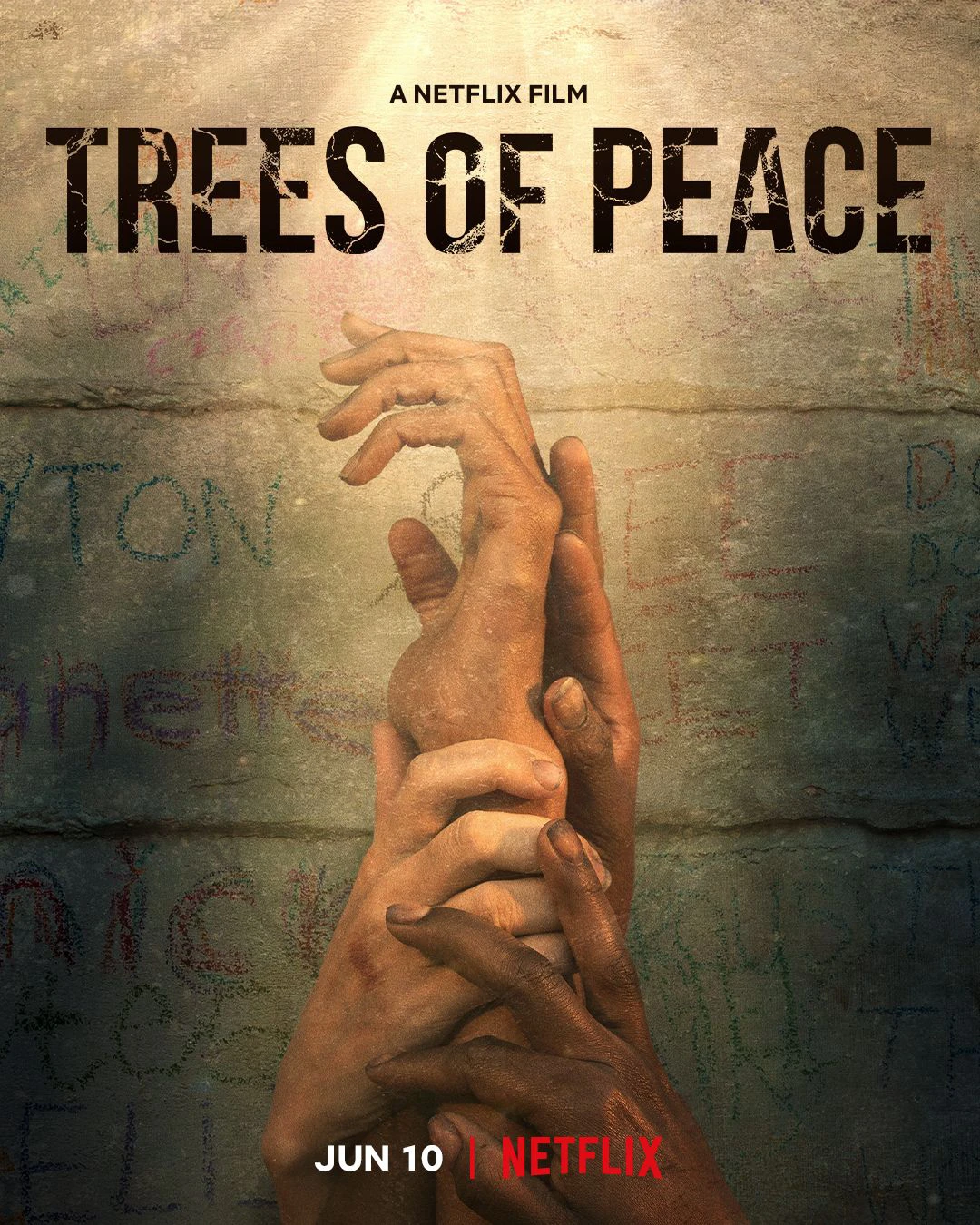 Cây hòa bình | Trees of Peace (2022)