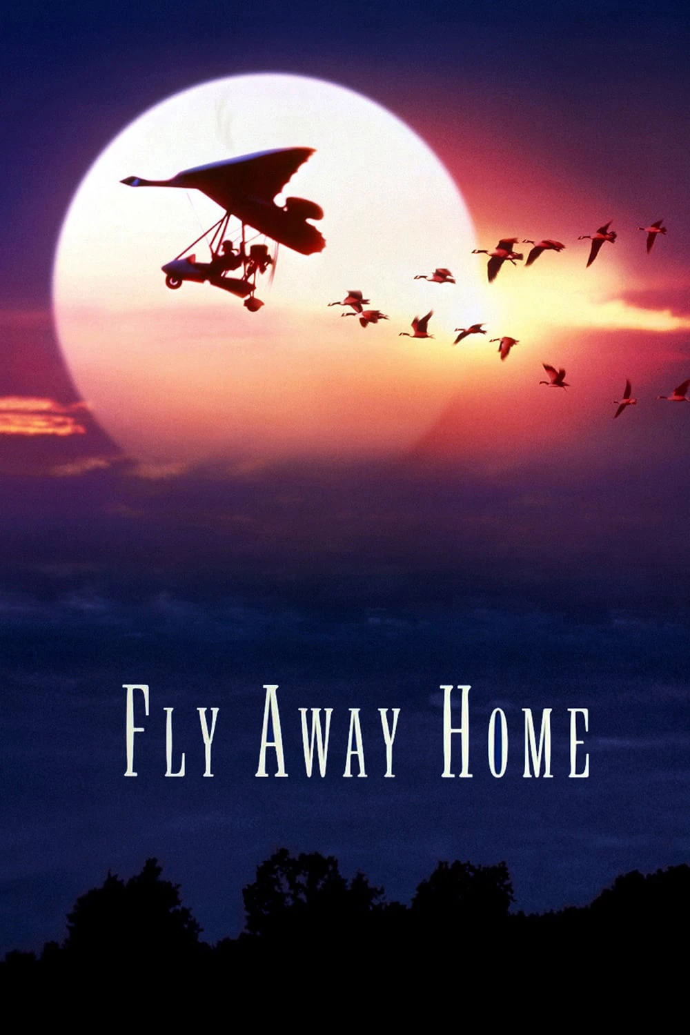 CHẮP CÁNH BAY XA  | Fly Away Home (1996)