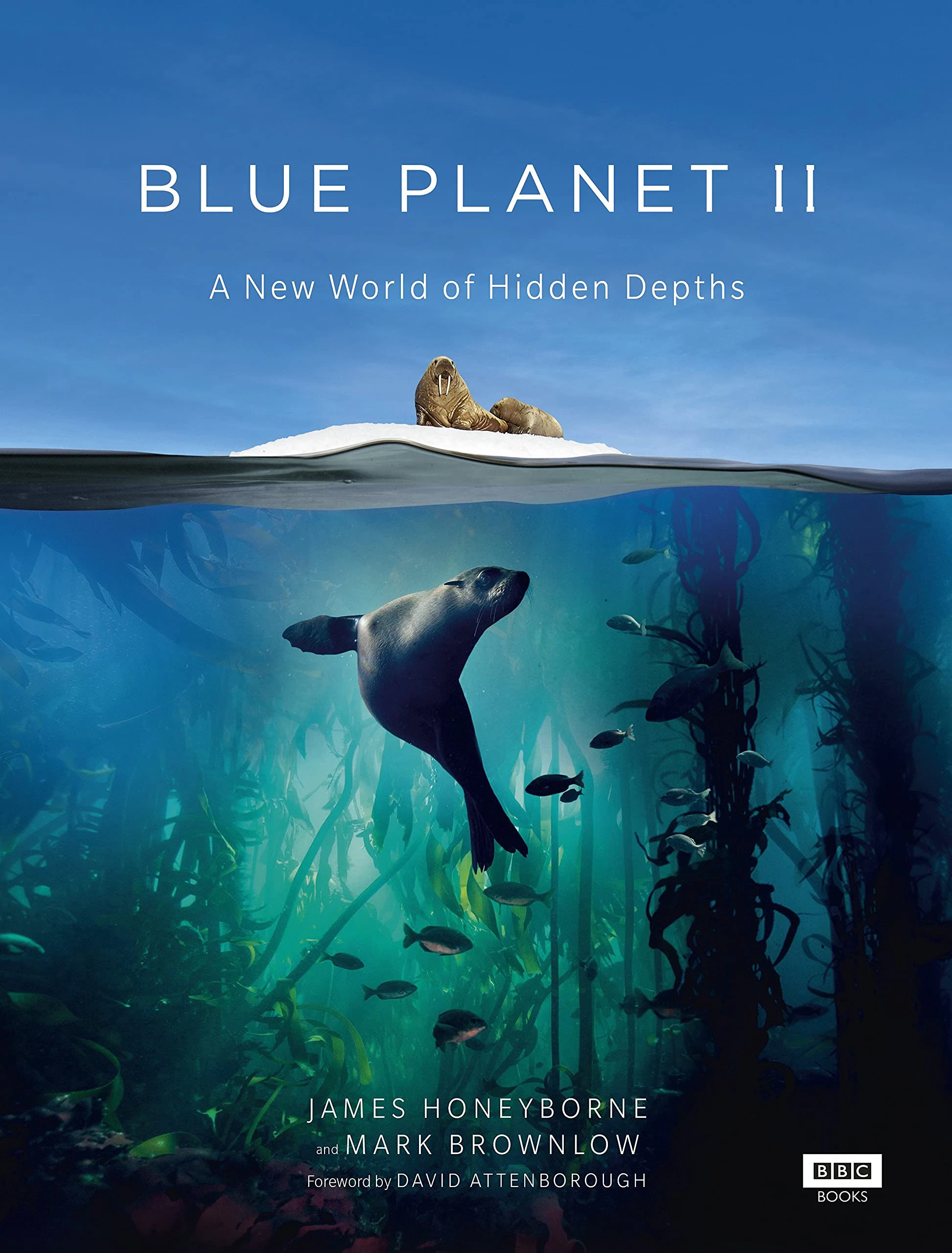 Đại Dương Sâu Thẳm 2 | The Blue Planet 2 (2015)