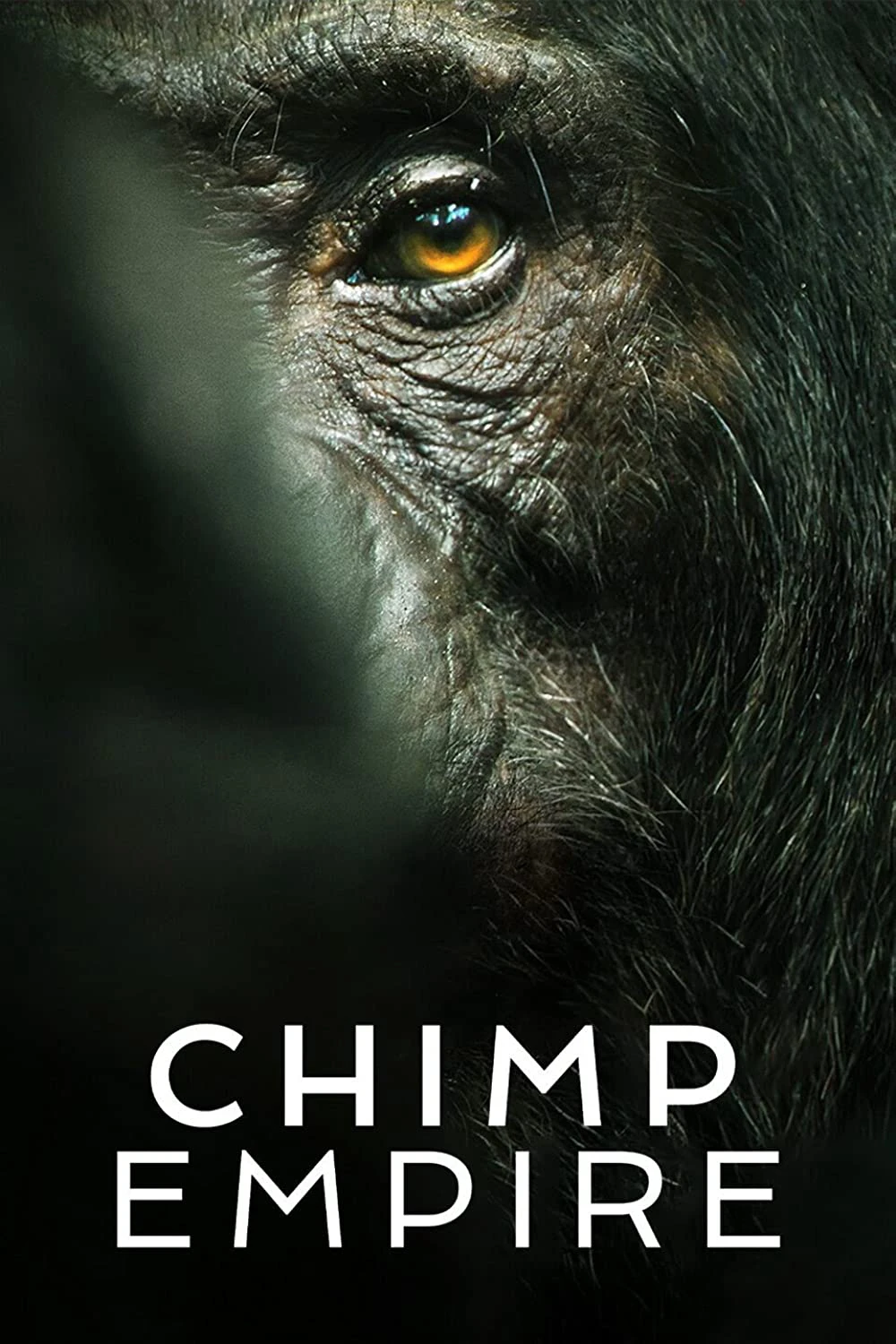 Đế chế tinh tinh | Chimp Empire (2023)