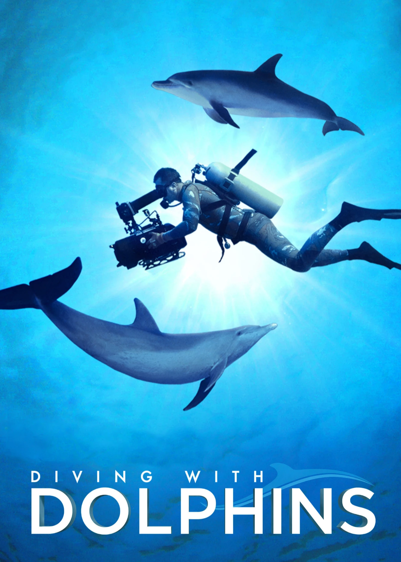 Diving with Dolphins | Diving with Dolphins (2020)