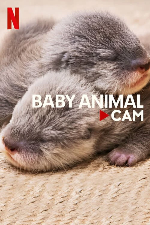 Động vật bé cưng trên camera | Baby Animal Cam (2023)