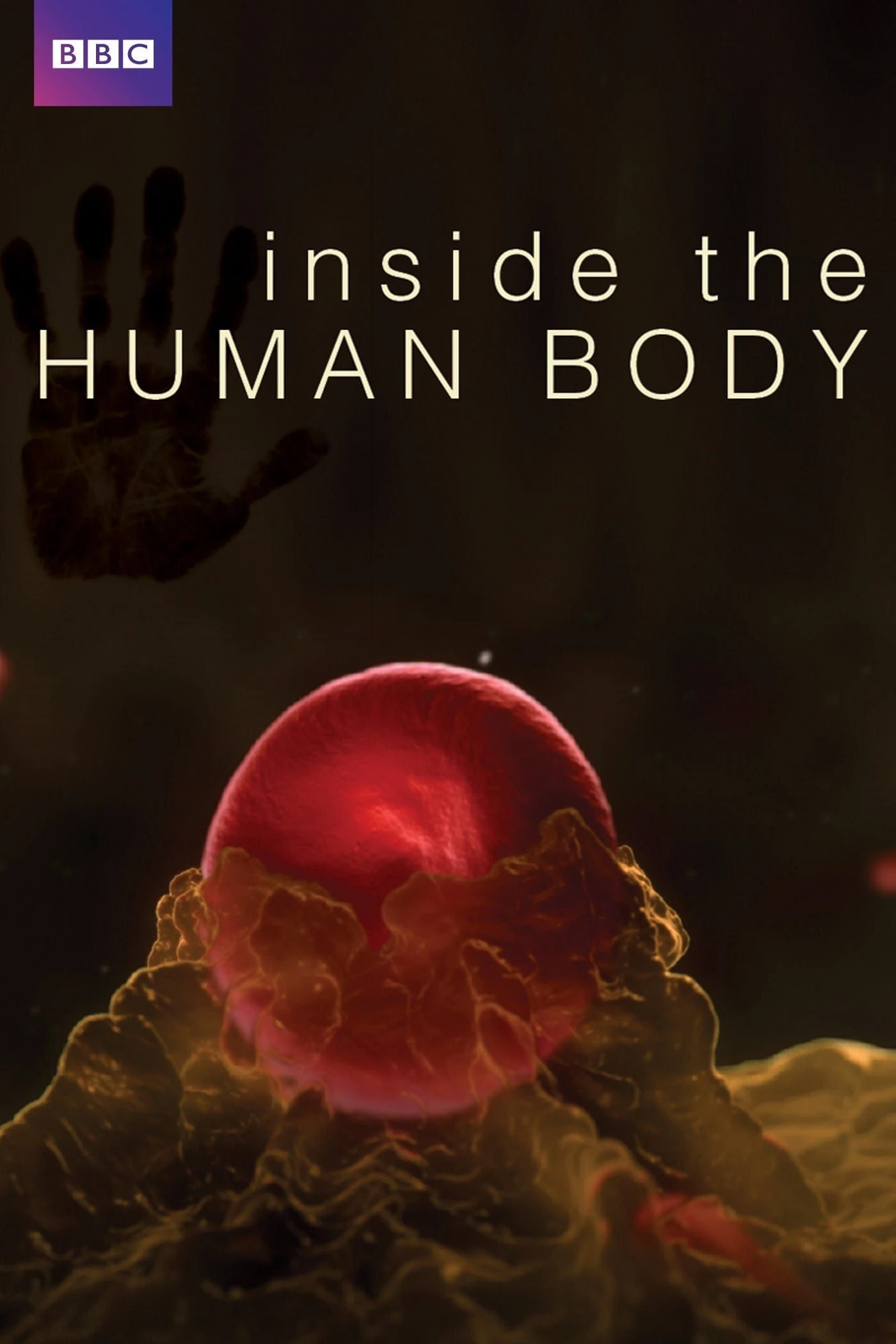 Inside the Human Body | Inside the Human Body (2011)