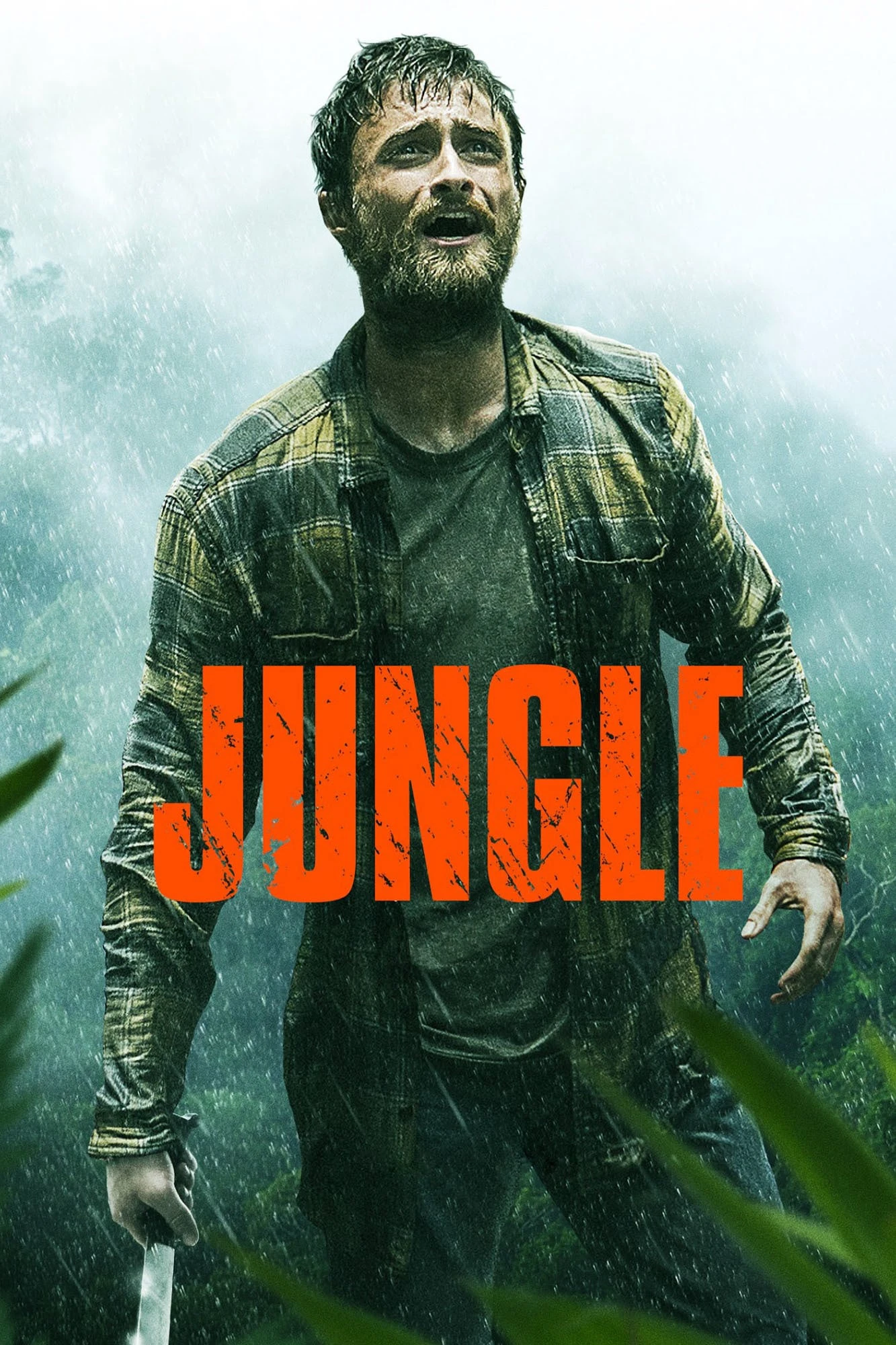 Jungle | Jungle (2017)