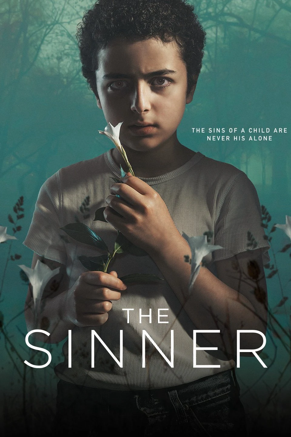 Kẻ tội đồ (Phần 1) | The Sinner (Season 1) (2017)