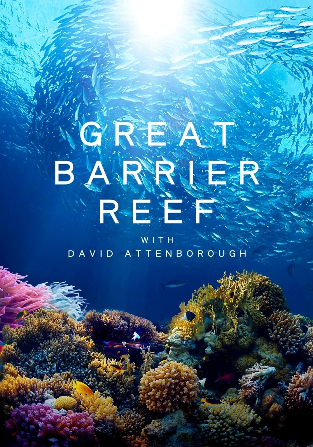Khám Phá Rạn San Hô Great Barrier cùng David Attenborough | Great Barrier Reef with David Attenborough (2015)