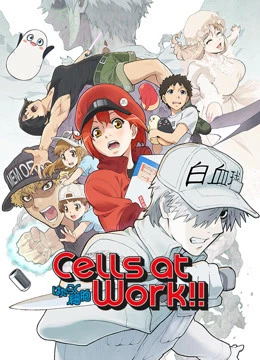 Khi Các Tế Bào Làm Việc (Phần 2) | Cells at Work! S2 (2021)