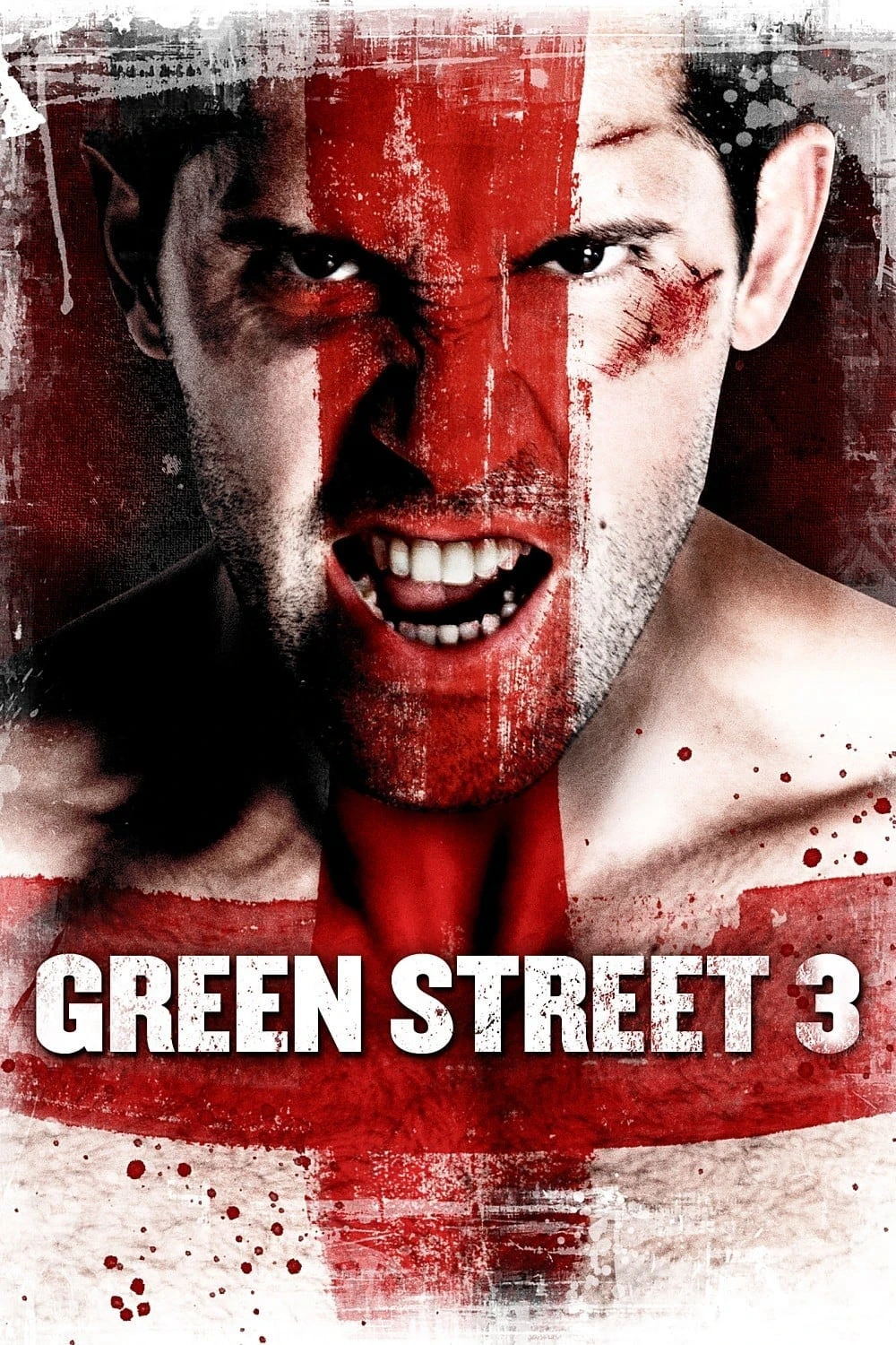 Không Chùn Bước 3 | Green Street 3: Never Back Down (2013)