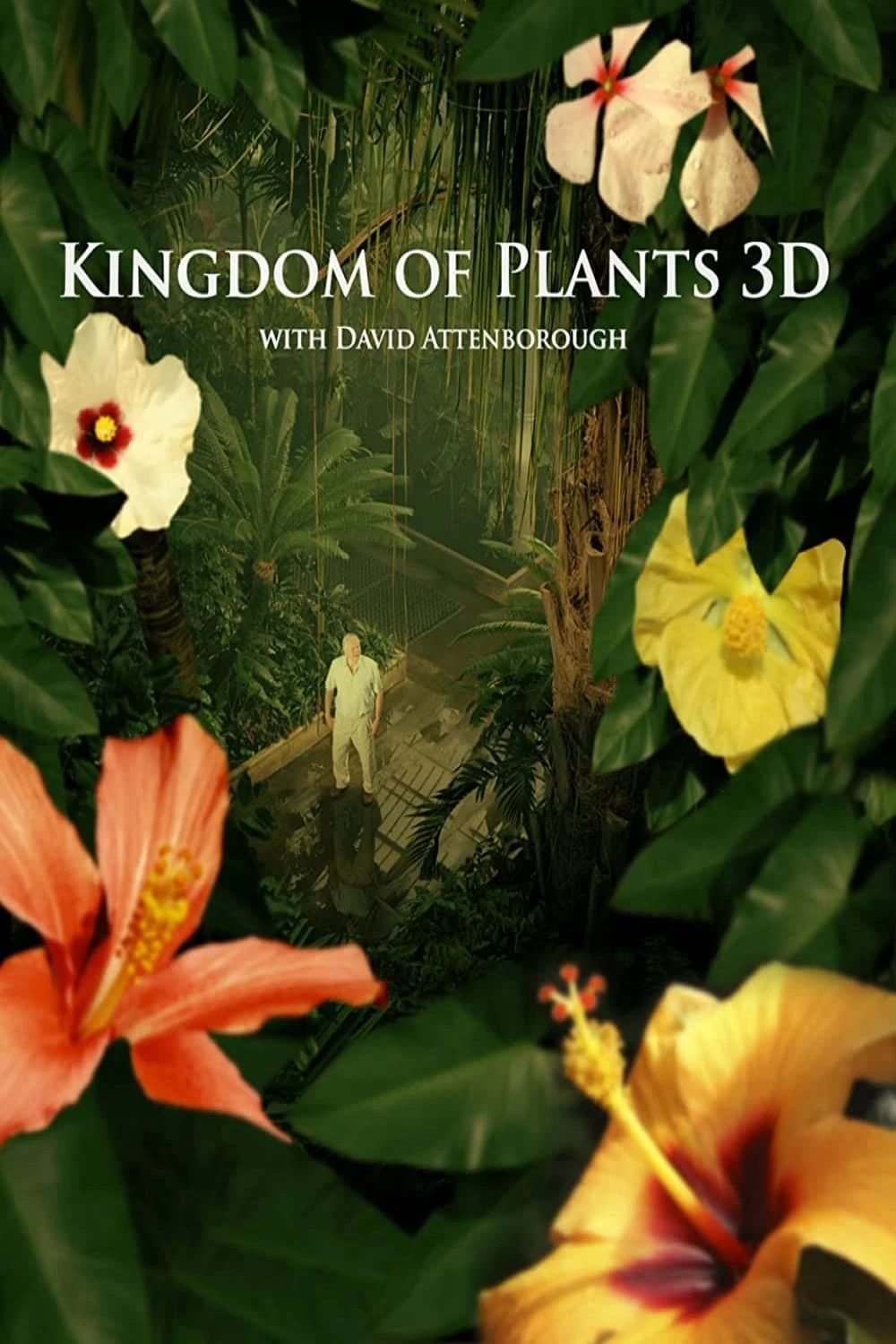 Kingdom of Plants | Kingdom of Plants (2012)