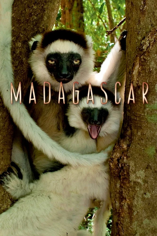 Madagascar 2011 | Madagascar (2011)
