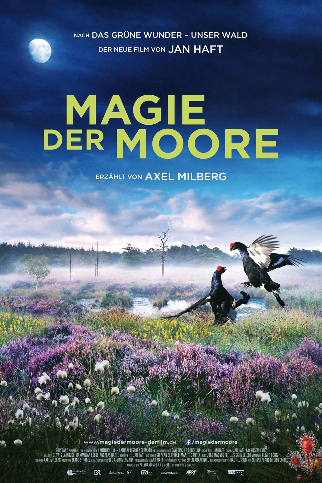Magie der Moore | Magie der Moore (2015)