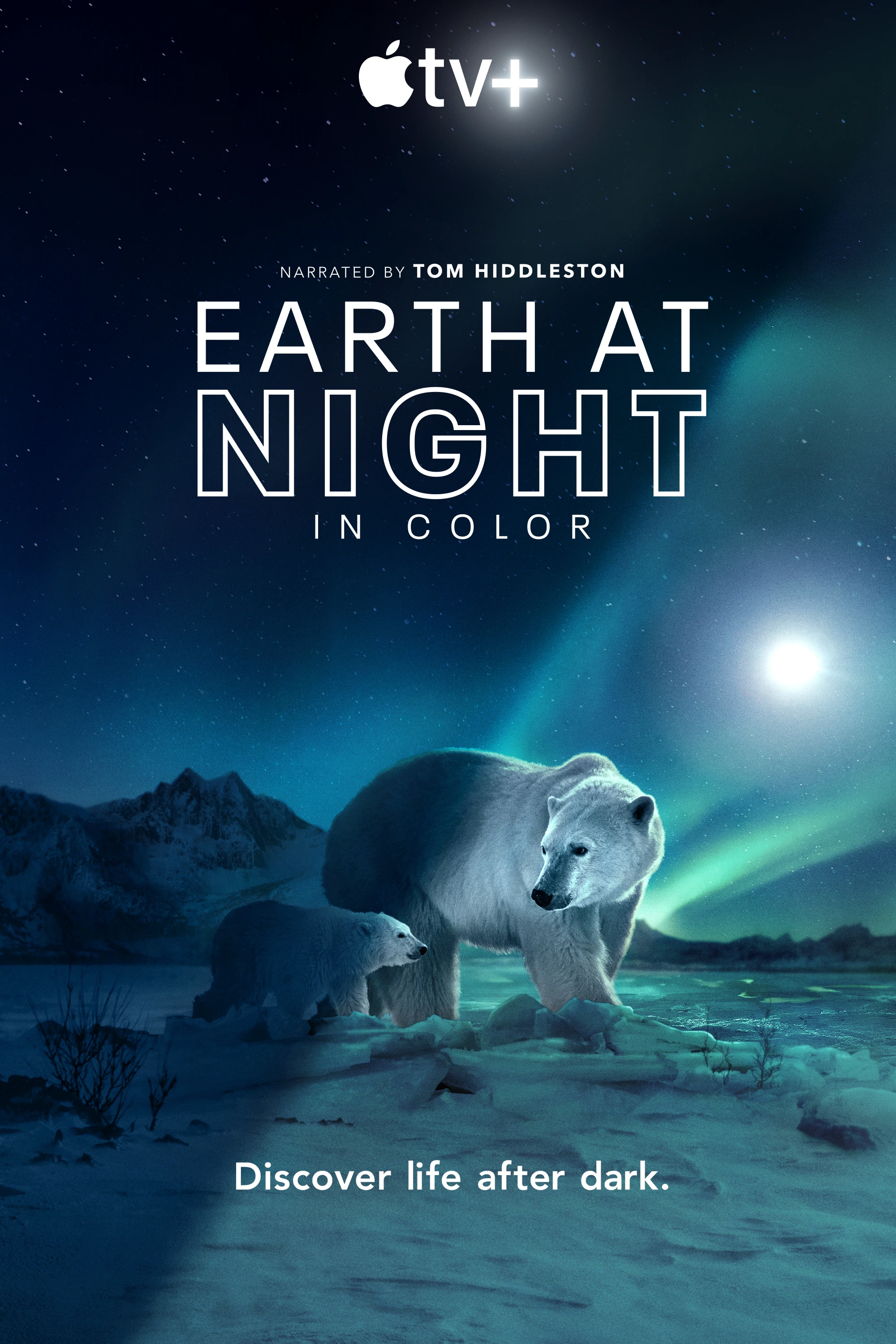 Màn đêm trên Trái Đất: Thước phim trong bóng tối | Night on Earth: Shot in the Dark (2020)