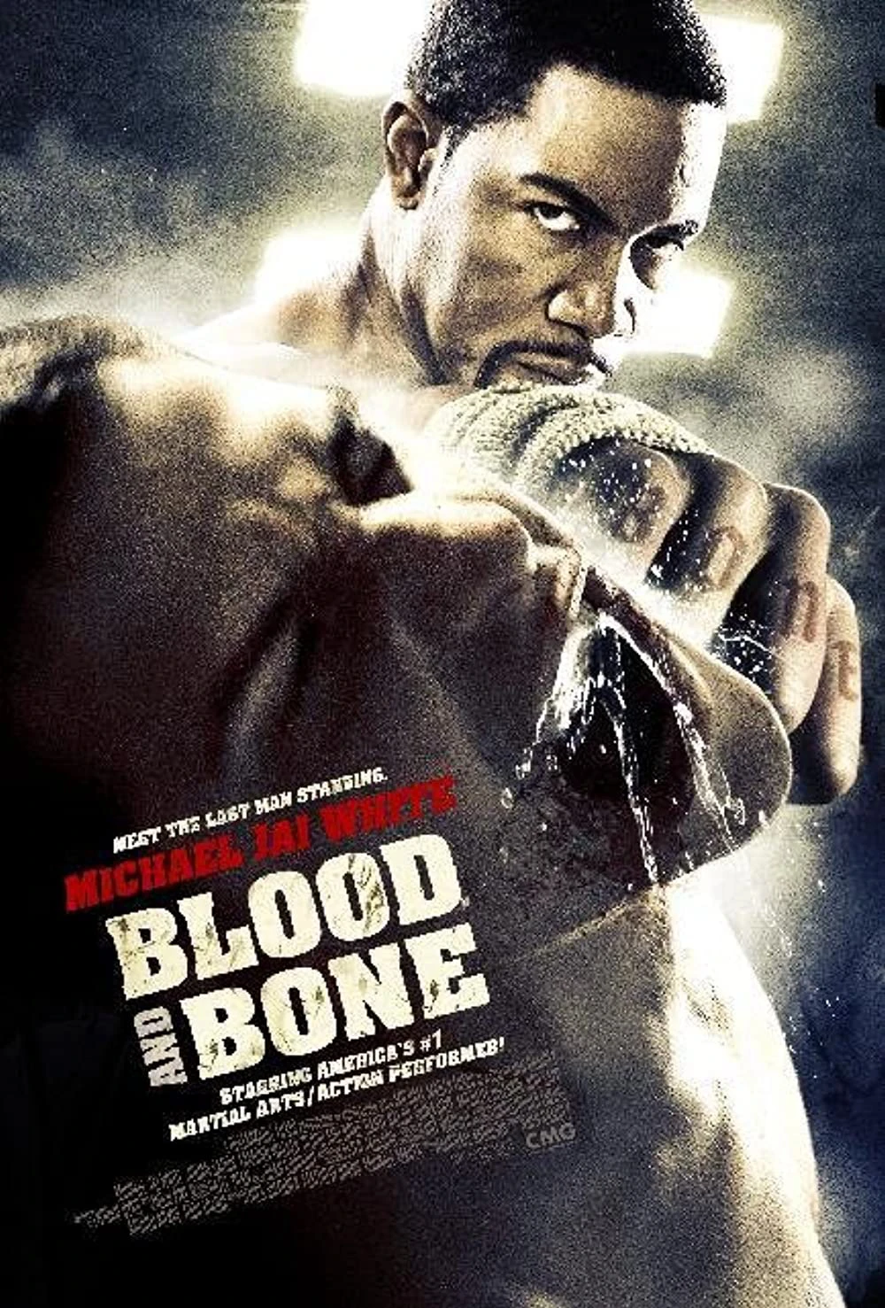 Máu Và Xương | Blood and Bone (2009)