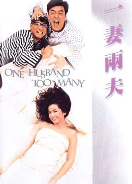 Một chồng là quá đủ | One Husband Too Many (1988)