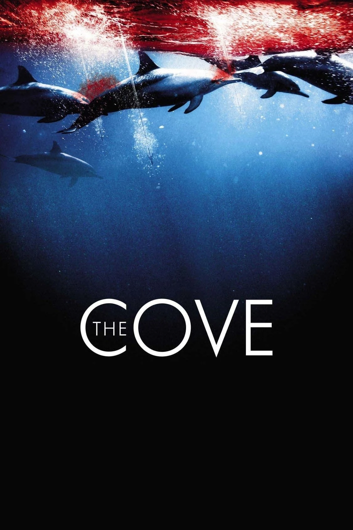 Nạn Săn Cá Heo | The Cove (2009)