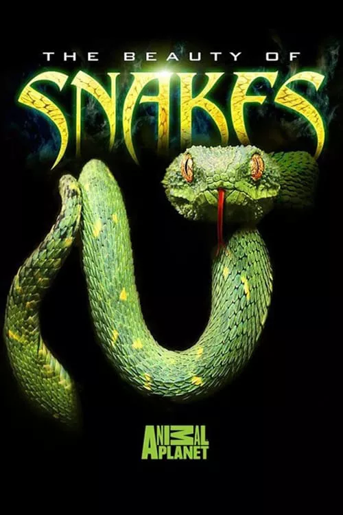 Nét đẹp của loài rắn | The Beauty of Snakes (2003)