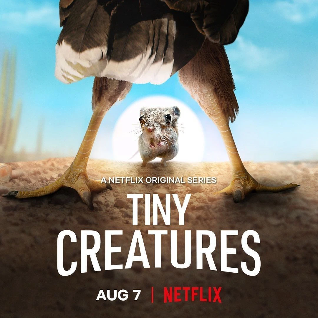 Những sinh vật tí hon | Tiny Creatures (2020)
