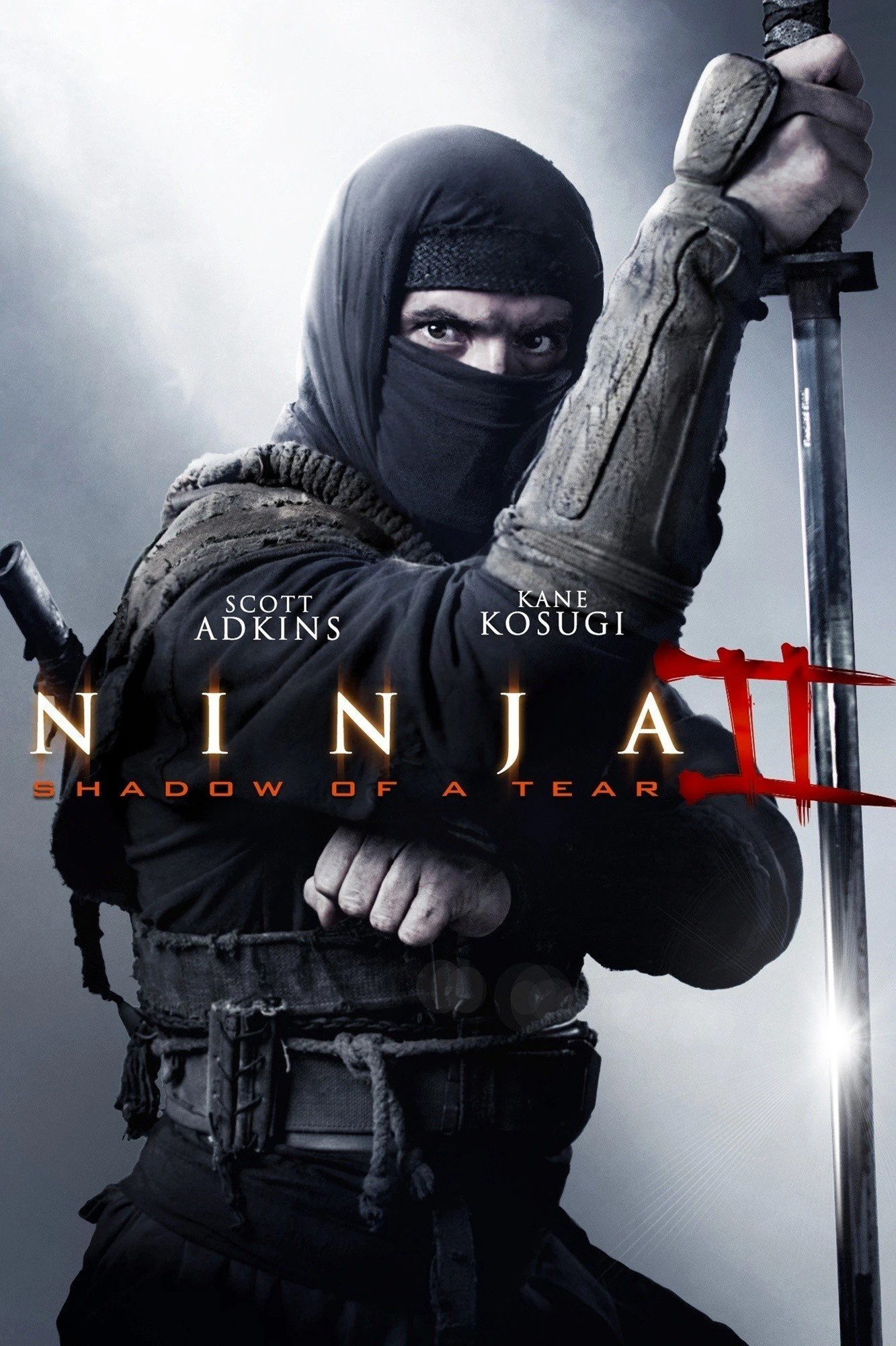 Ninja Báo Thù | Ninja: Shadow of a Tear (2013)