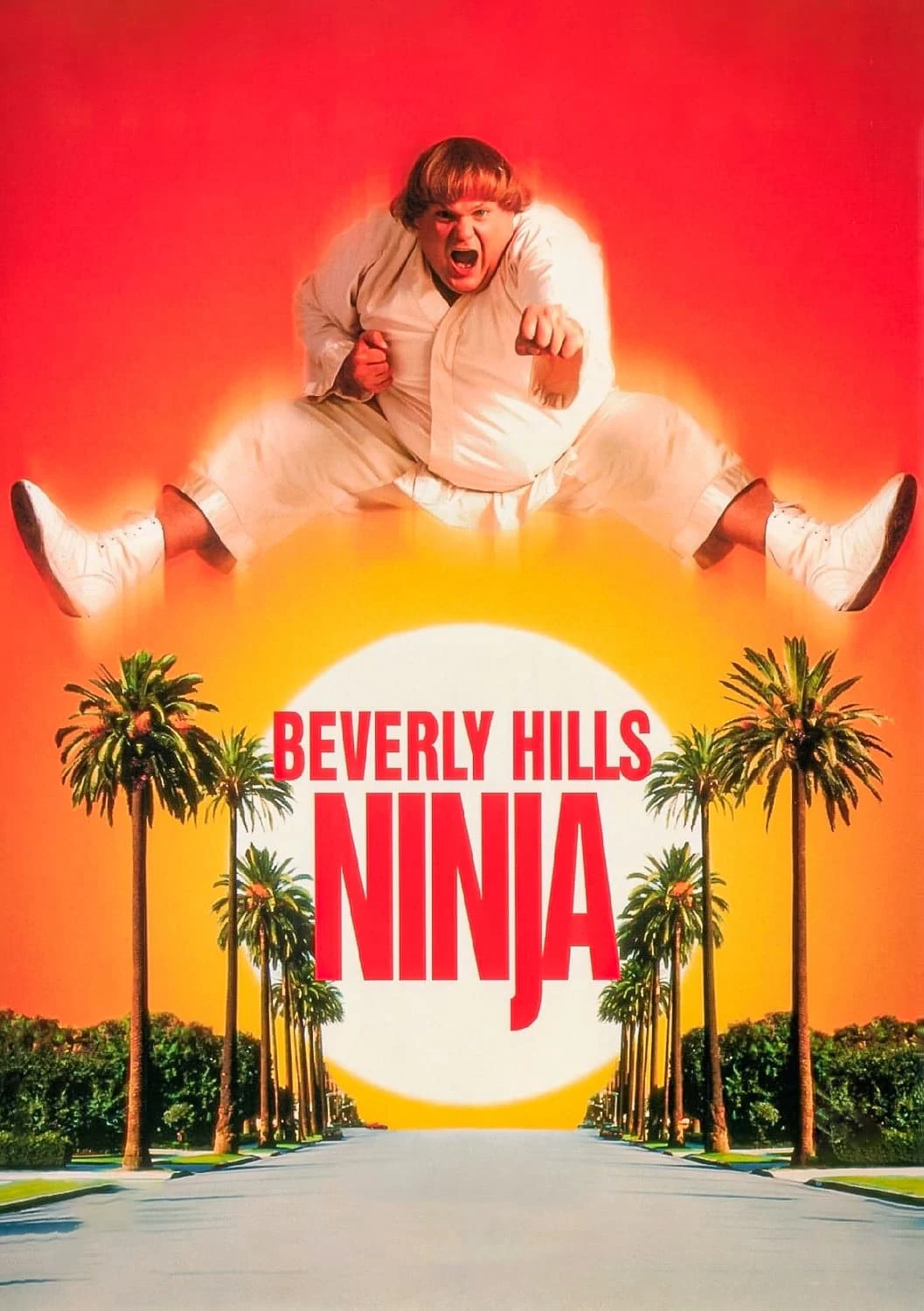 Ninja Béo Ù | Beverly Hills Ninja (1997)