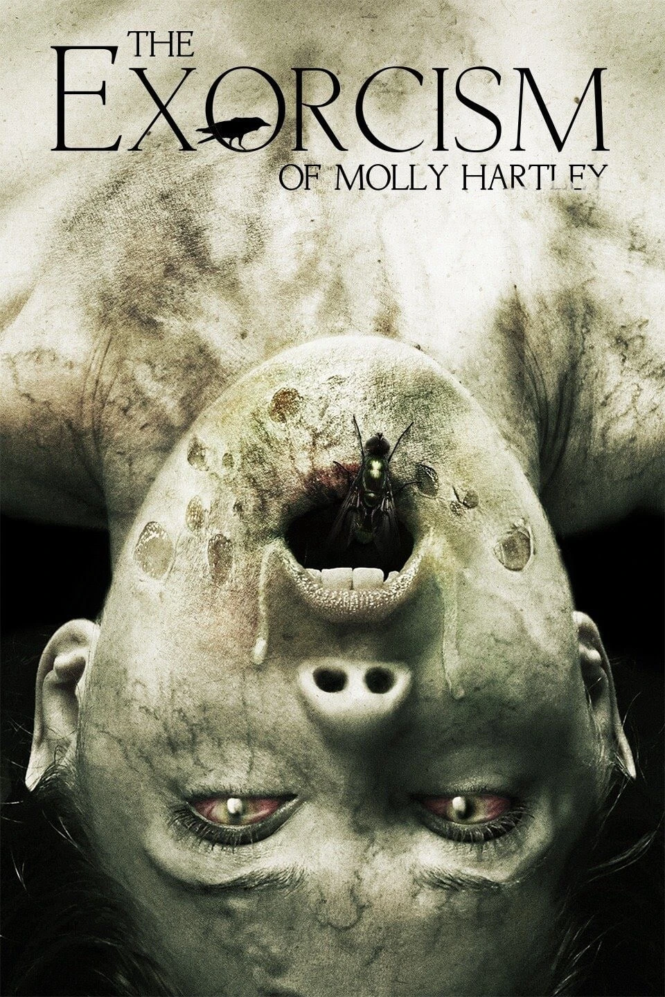 Nỗi Ám Ảnh Của Molly  | The Exorcism of Molly Hartley (2015)