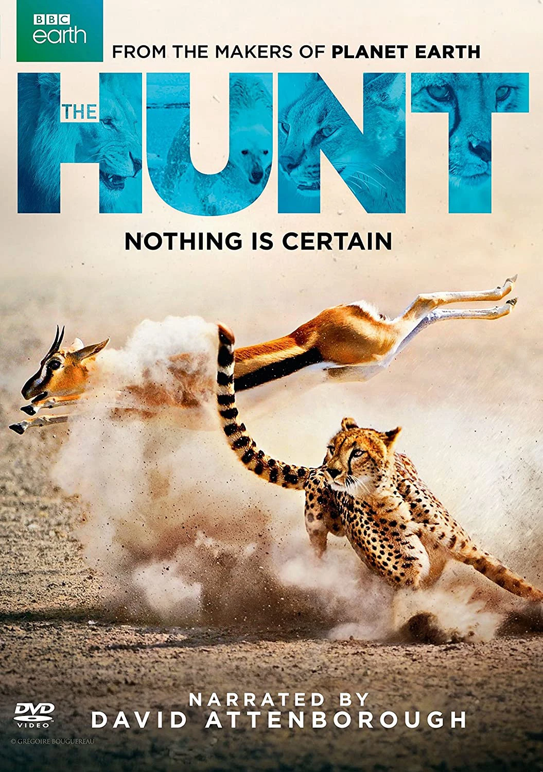 Săn Mồi | BBC: The Hunt (2015)