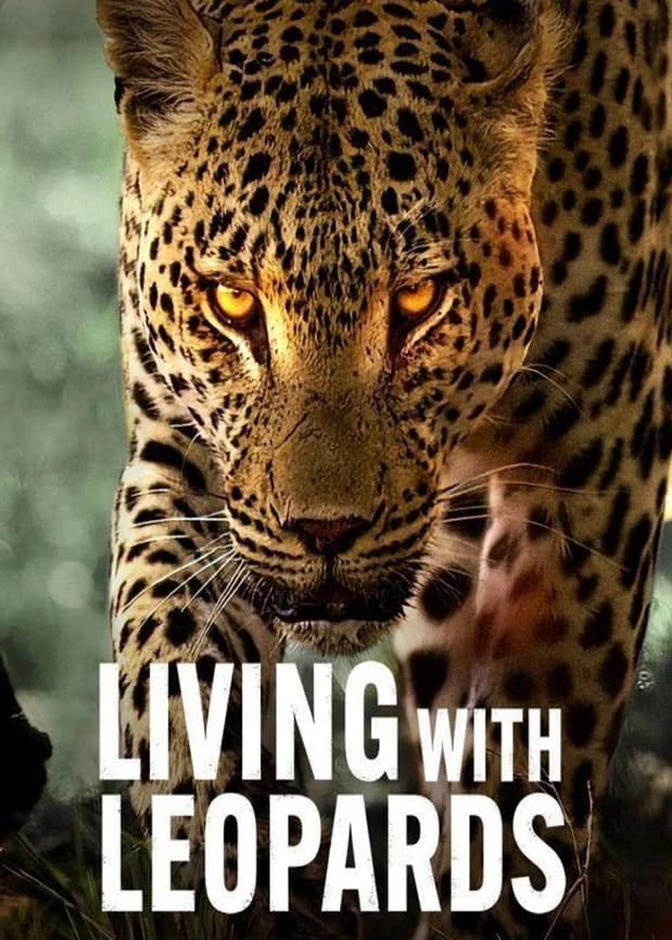 Sống cùng báo hoa | Living with Leopards (2024)