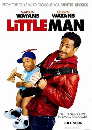 Tên trộm tí hon | Little Man (2006)