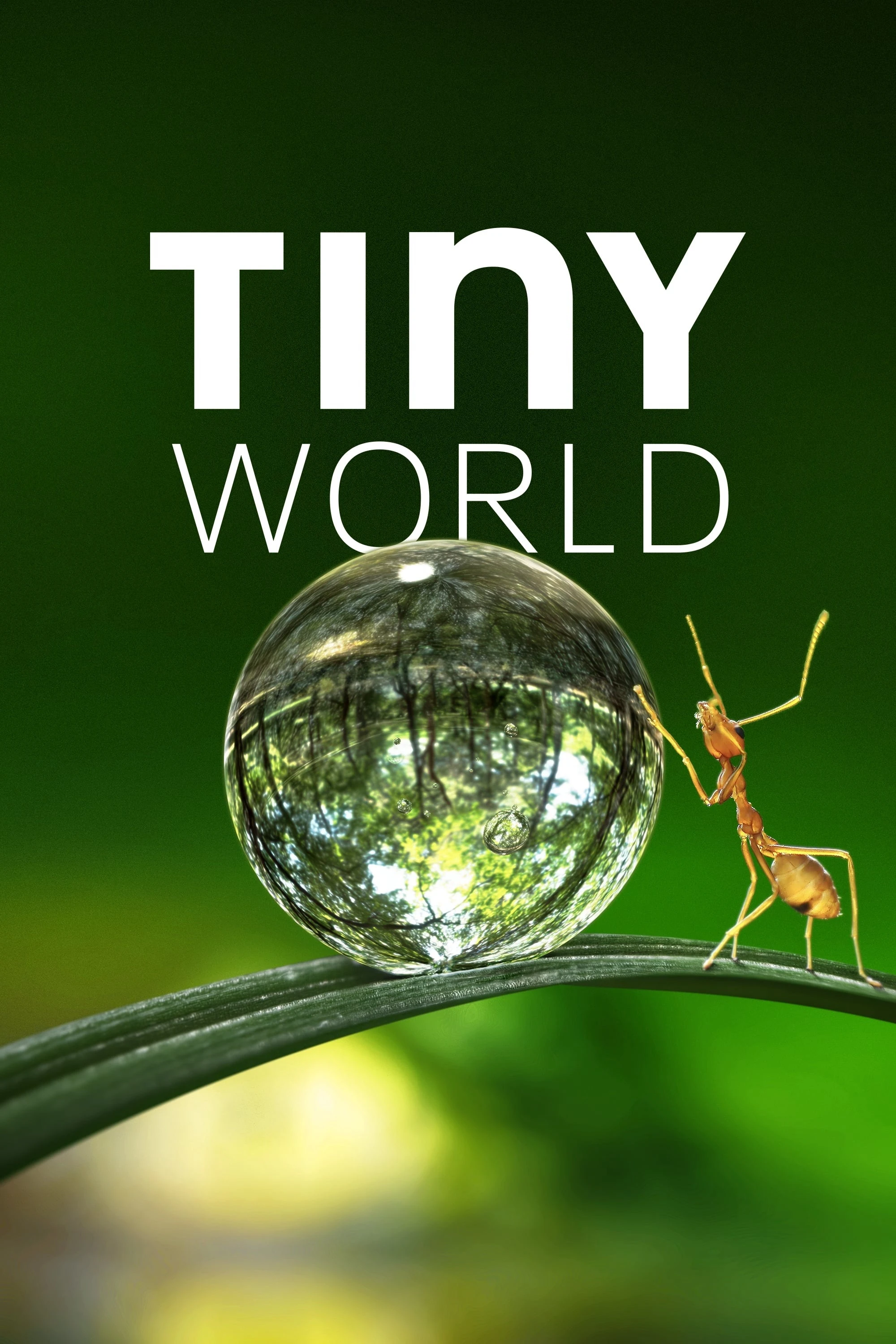 Thế Giới Siêu Nhỏ (Phần 1) | Tiny World (Season 1) (2020)