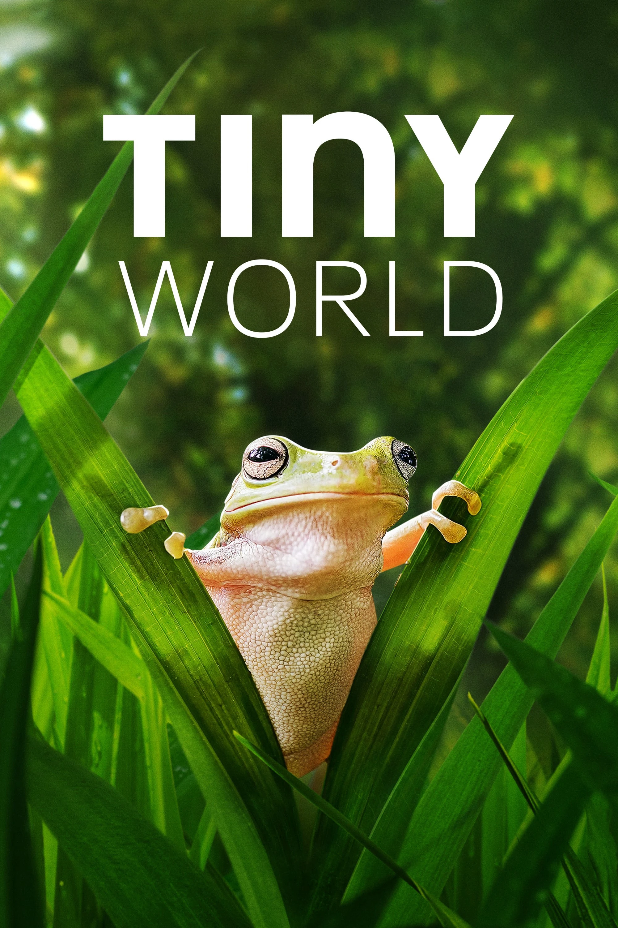 Thế Giới Siêu Nhỏ (Phần 2) | Tiny World (Season 2) (2021)