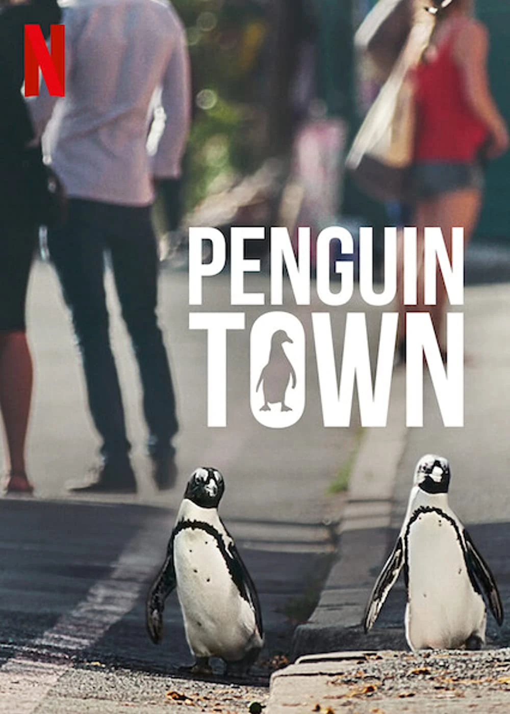 Thị trấn cánh cụt | Penguin Town (2021)