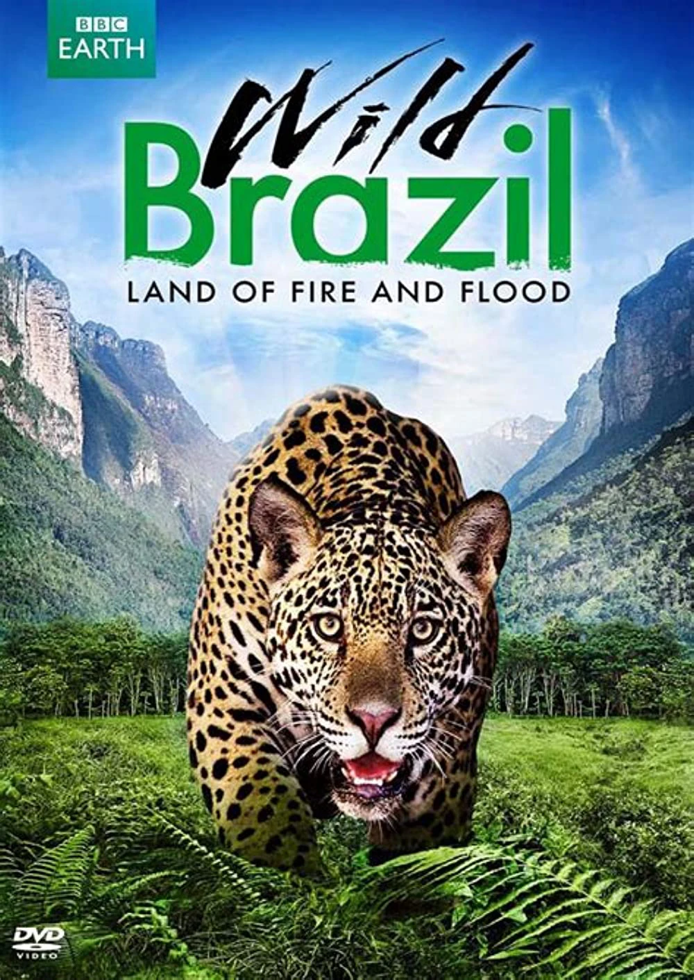 Thiên Nhiên Brazil Hoang Dã | Wild Brazil (2014)