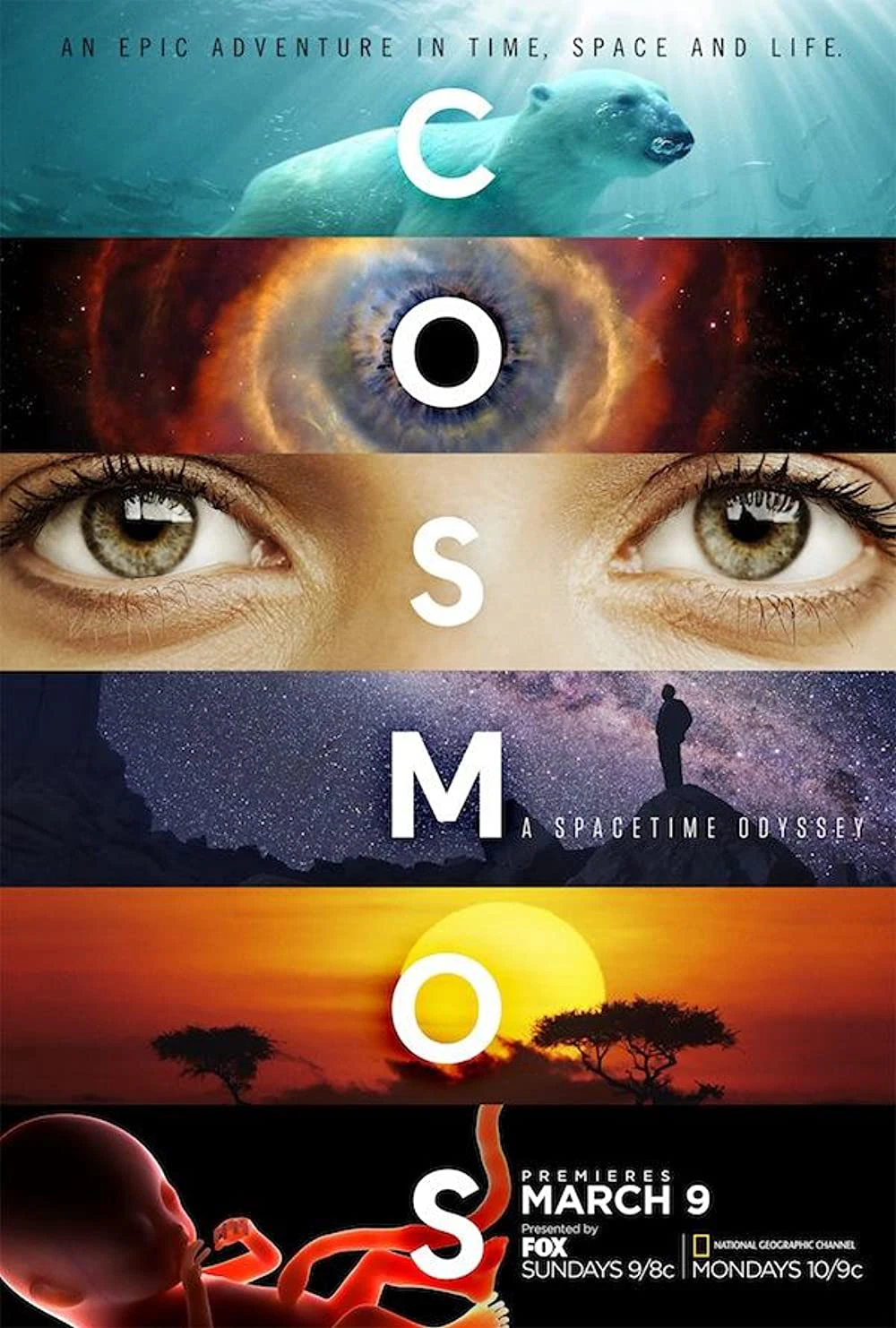 Vũ Trụ Kỳ Diệu Phần 1 | Cosmos: A SpaceTime Odyssey (Season 1) (2014)