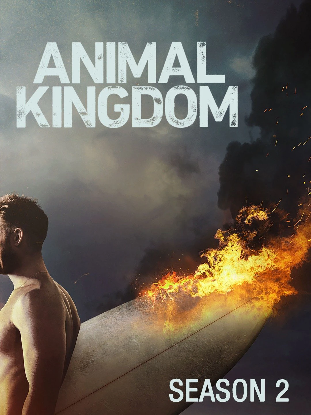 Vương quốc động vật (Phần 2) | Animal Kingdom (Season 2) (2017)